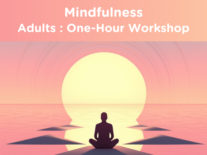 Mindfulness Intro Workshop (1 hr) : Adults